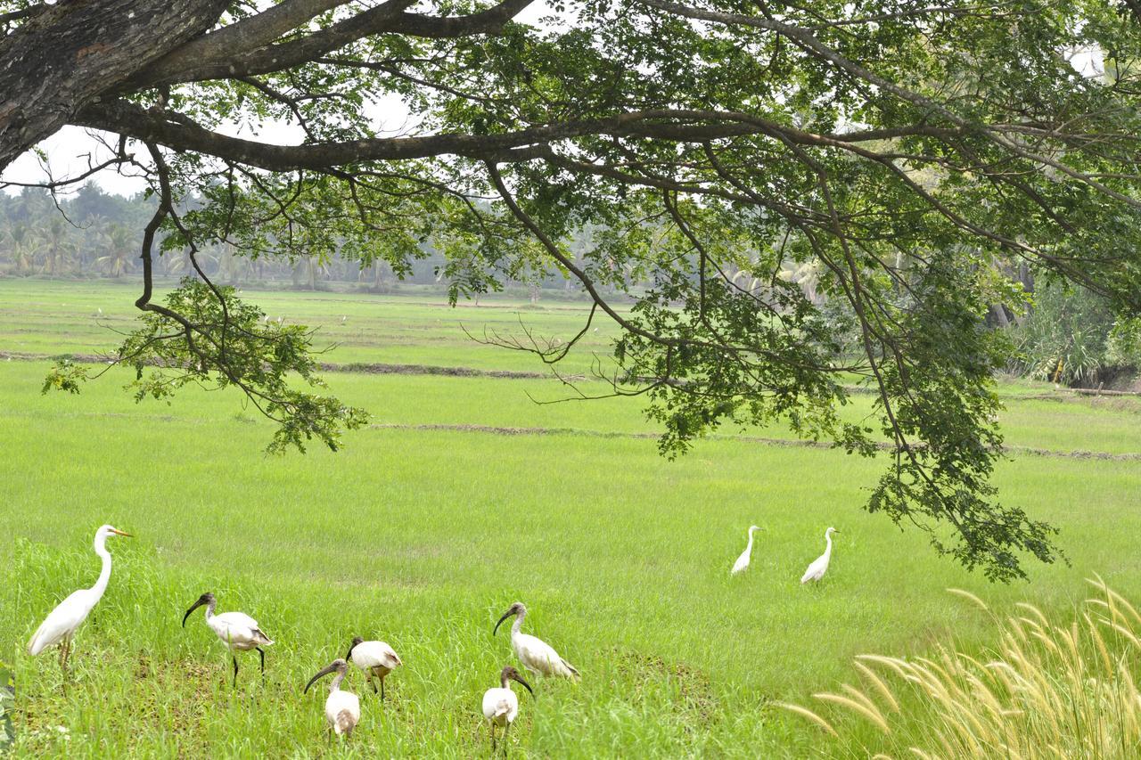 Marari Bethsaida Homestay Shertallai Esterno foto