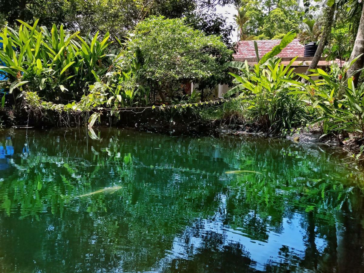 Marari Bethsaida Homestay Shertallai Esterno foto