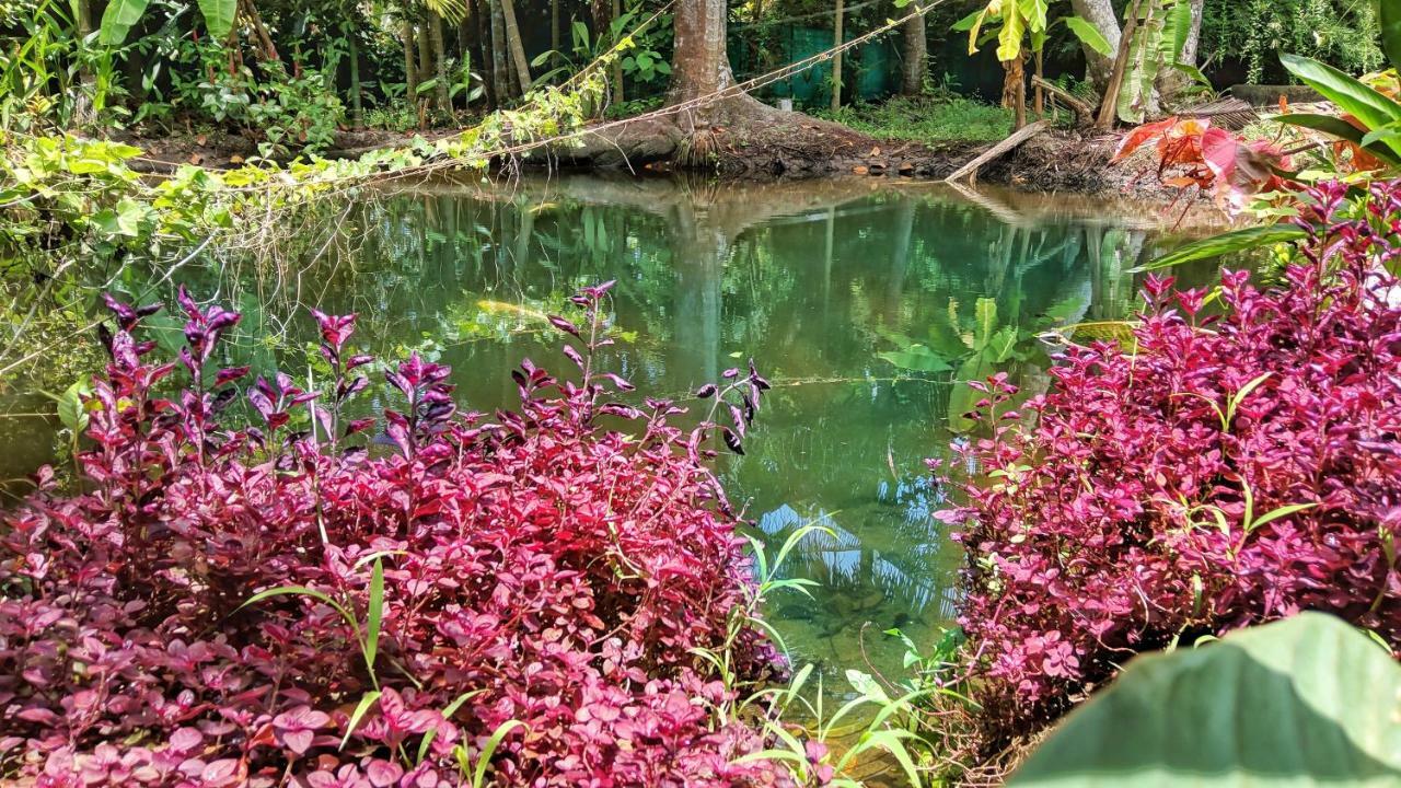 Marari Bethsaida Homestay Shertallai Esterno foto