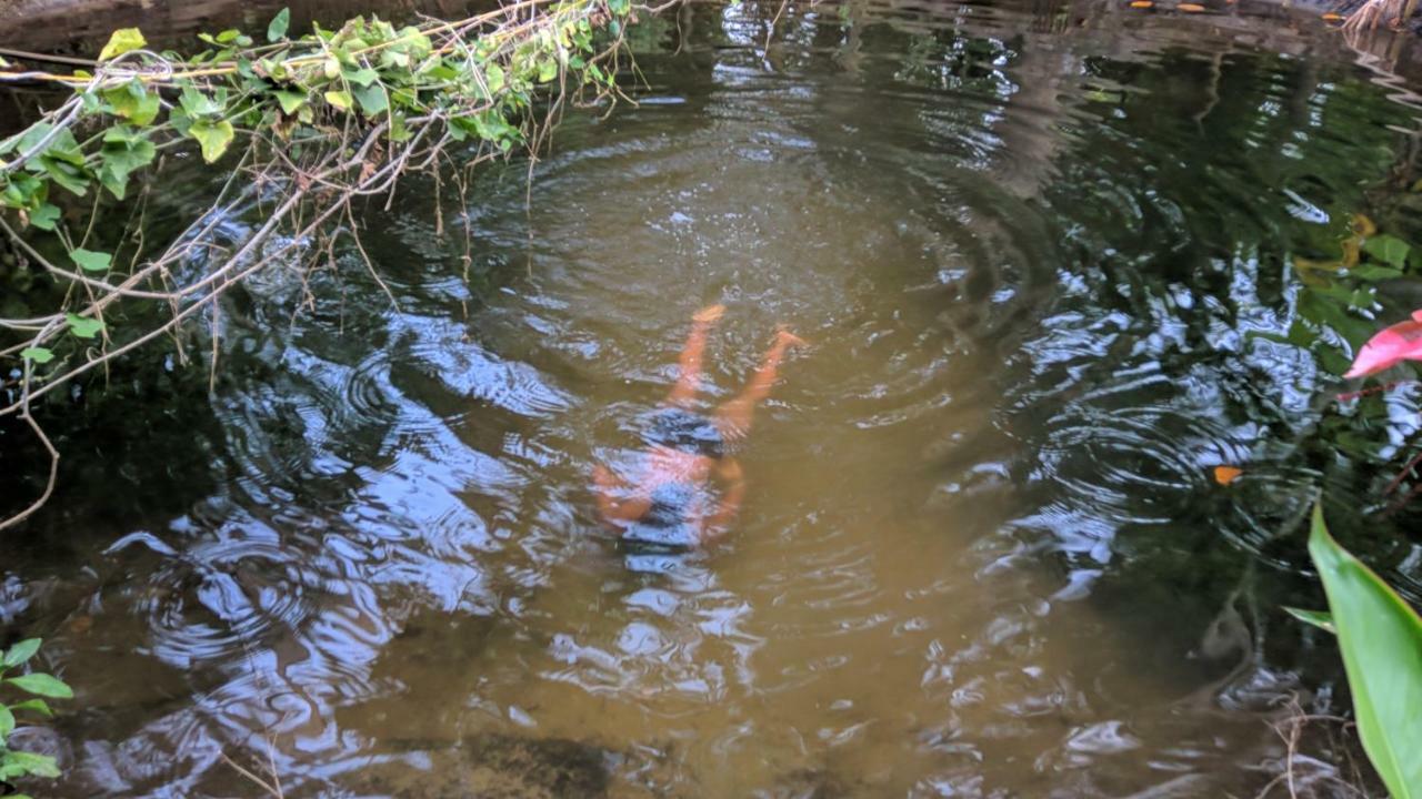 Marari Bethsaida Homestay Shertallai Esterno foto